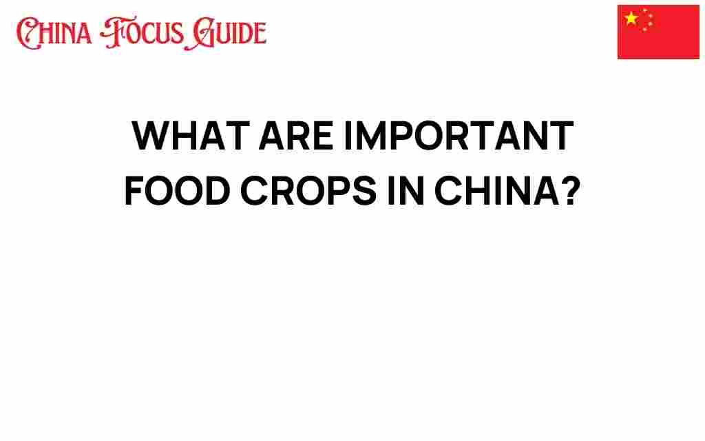 important-food-crops-in-china