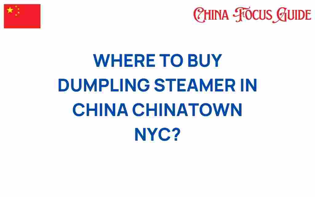 where-to-buy-dumpling-steamer-chinatown-nyc