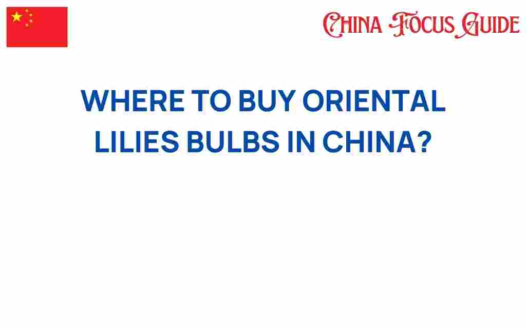 buy-oriental-lily-bulbs-china