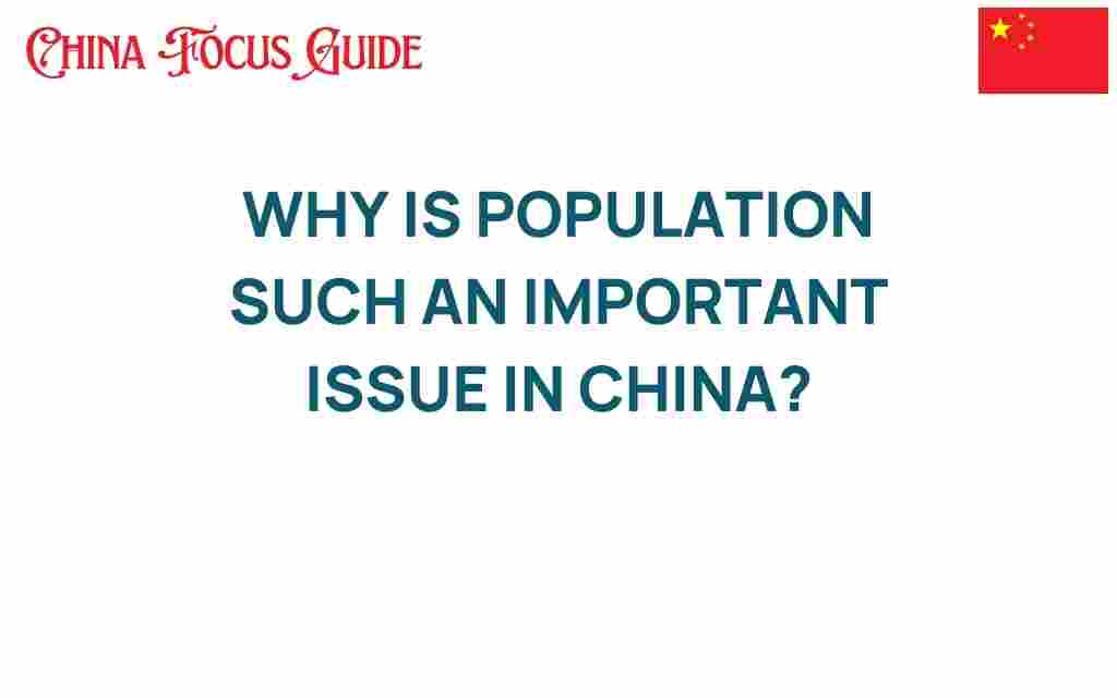 population-issue-china